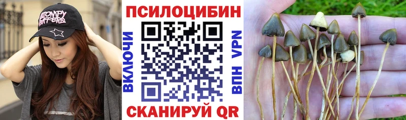Галлюциногенные грибы MAGIC MUSHROOMS  Костерёво 